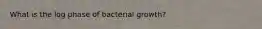 What is the log phase of bacterial growth?