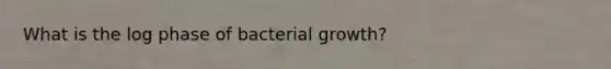 What is the log phase of bacterial growth?