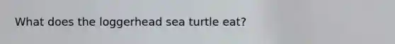 What does the loggerhead sea turtle eat?