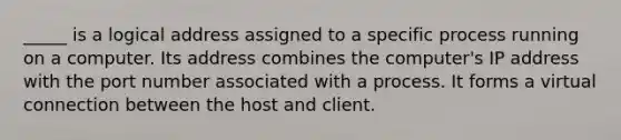 _____ is a logical address assigned to a specific process running on a computer. Its address combines the computer's IP address with the port number associated with a process. It forms a virtual connection between the host and client.