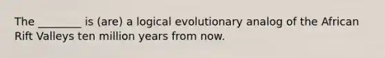 The ________ is (are) a logical evolutionary analog of the African Rift Valleys ten million years from now.