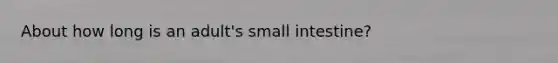 About how long is an adult's small intestine?