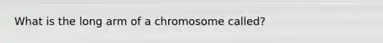 What is the long arm of a chromosome called?