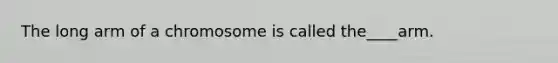 The long arm of a chromosome is called the____arm.