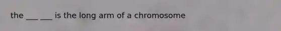 the ___ ___ is the long arm of a chromosome