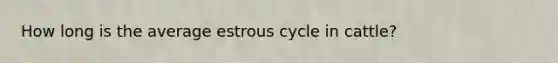 How long is the average estrous cycle in cattle?