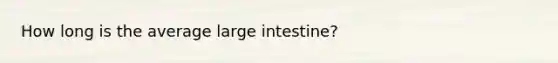 How long is the average large intestine?