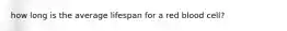 how long is the average lifespan for a red blood cell?
