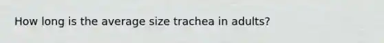 How long is the average size trachea in adults?