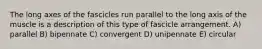 The long axes of the fascicles run parallel to the long axis of the muscle is a description of this type of fascicle arrangement. A) parallel B) bipennate C) convergent D) unipennate E) circular