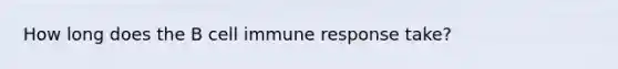 How long does the B cell immune response take?