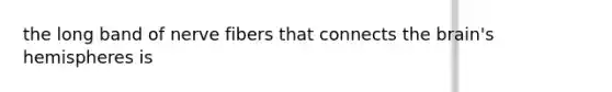 the long band of nerve fibers that connects the brain's hemispheres is