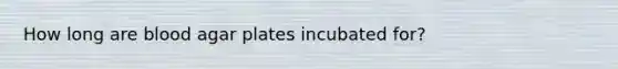 How long are blood agar plates incubated for?