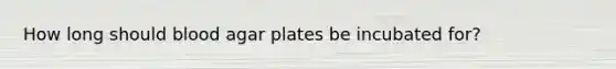 How long should blood agar plates be incubated for?