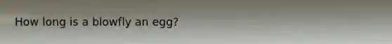 How long is a blowfly an egg?