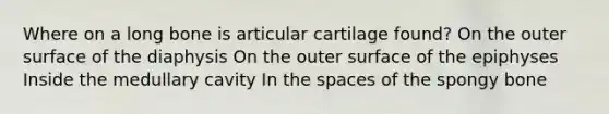 Where on a long bone is articular cartilage found? On the outer surface of the diaphysis On the outer surface of the epiphyses Inside the medullary cavity In <a href='https://www.questionai.com/knowledge/k0Lyloclid-the-space' class='anchor-knowledge'>the space</a>s of the spongy bone