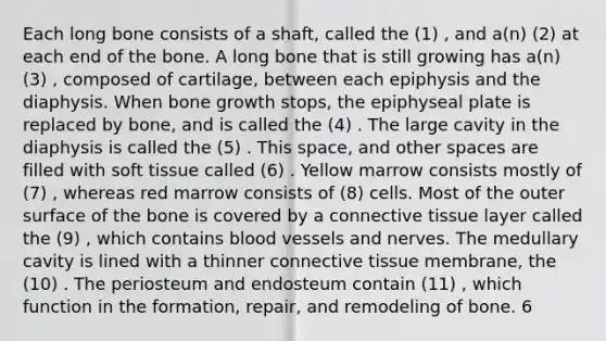 Each long bone consists of a shaft, called the (1) , and a(n) (2) at each end of the bone. A long bone that is still growing has a(n) (3) , composed of cartilage, between each epiphysis and the diaphysis. When <a href='https://www.questionai.com/knowledge/ki4t7AlC39-bone-growth' class='anchor-knowledge'>bone growth</a> stops, the epiphyseal plate is replaced by bone, and is called the (4) . The large cavity in the diaphysis is called the (5) . This space, and other spaces are filled with soft tissue called (6) . Yellow marrow consists mostly of (7) , whereas red marrow consists of (8) cells. Most of the outer surface of the bone is covered by a <a href='https://www.questionai.com/knowledge/kYDr0DHyc8-connective-tissue' class='anchor-knowledge'>connective tissue</a> layer called the (9) , which contains blood vessels and nerves. The medullary cavity is lined with a thinner connective tissue membrane, the (10) . The periosteum and endosteum contain (11) , which function in the formation, repair, and remodeling of bone. 6