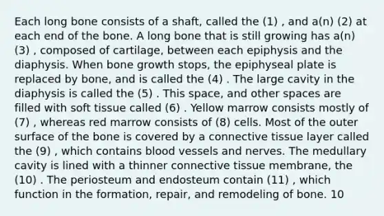 Each long bone consists of a shaft, called the (1) , and a(n) (2) at each end of the bone. A long bone that is still growing has a(n) (3) , composed of cartilage, between each epiphysis and the diaphysis. When bone growth stops, the epiphyseal plate is replaced by bone, and is called the (4) . The large cavity in the diaphysis is called the (5) . This space, and other spaces are filled with soft tissue called (6) . Yellow marrow consists mostly of (7) , whereas red marrow consists of (8) cells. Most of the outer surface of the bone is covered by a connective tissue layer called the (9) , which contains blood vessels and nerves. The medullary cavity is lined with a thinner connective tissue membrane, the (10) . The periosteum and endosteum contain (11) , which function in the formation, repair, and remodeling of bone. 10