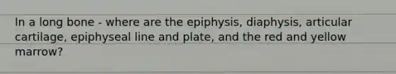 In a long bone - where are the epiphysis, diaphysis, articular cartilage, epiphyseal line and plate, and the red and yellow marrow?