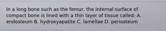 In a long bone such as the femur, the internal surface of compact bone is lined with a thin layer of tissue called: A. endosteum B. hydroxyapatite C. lamellae D. periosteum