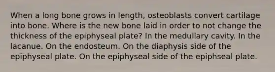 When a long bone grows in length, osteoblasts convert cartilage into bone. Where is the new bone laid in order to not change the thickness of the epiphyseal plate? In the medullary cavity. In the lacanue. On the endosteum. On the diaphysis side of the epiphyseal plate. On the epiphyseal side of the epiphseal plate.