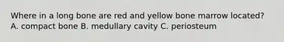 Where in a long bone are red and yellow bone marrow located? A. compact bone B. medullary cavity C. periosteum