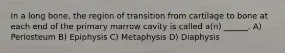 In a long bone, the region of transition from cartilage to bone at each end of the primary marrow cavity is called a(n) ______. A) Periosteum B) Epiphysis C) Metaphysis D) Diaphysis