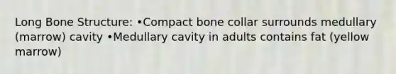 Long Bone Structure: •Compact bone collar surrounds medullary (marrow) cavity •Medullary cavity in adults contains fat (yellow marrow)