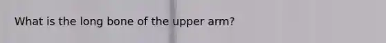 What is the long bone of the upper arm?