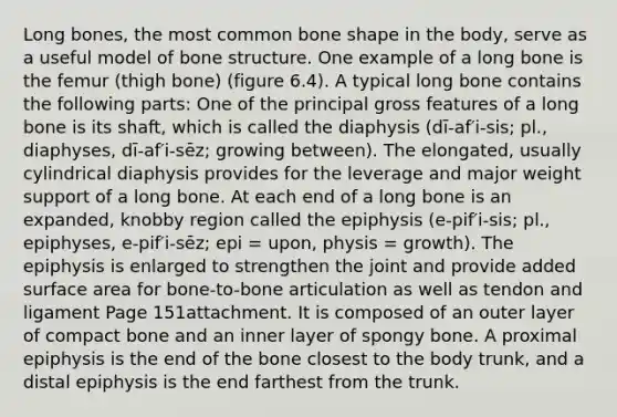 Long bones, the most common bone shape in the body, serve as a useful model of bone structure. One example of a long bone is the femur (thigh bone) (figure 6.4). A typical long bone contains the following parts: One of the principal gross features of a long bone is its shaft, which is called the diaphysis (dī-af′i-sis; pl., diaphyses, dī-af′i-sēz; growing between). The elongated, usually cylindrical diaphysis provides for the leverage and major weight support of a long bone. At each end of a long bone is an expanded, knobby region called the epiphysis (e-pif′i-sis; pl., epiphyses, e-pif′i-sēz; epi = upon, physis = growth). The epiphysis is enlarged to strengthen the joint and provide added surface area for bone-to-bone articulation as well as tendon and ligament Page 151attachment. It is composed of an outer layer of compact bone and an inner layer of spongy bone. A proximal epiphysis is the end of the bone closest to the body trunk, and a distal epiphysis is the end farthest from the trunk.