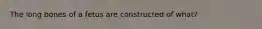 The long bones of a fetus are constructed of what?