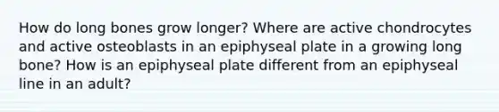 How do long bones grow longer? Where are active chondrocytes and active osteoblasts in an epiphyseal plate in a growing long bone? How is an epiphyseal plate different from an epiphyseal line in an adult?