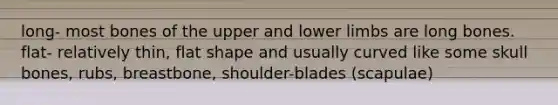 long- most bones of the upper and lower limbs are long bones. flat- relatively thin, flat shape and usually curved like some skull bones, rubs, breastbone, shoulder-blades (scapulae)