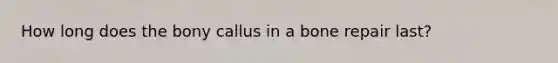 How long does the bony callus in a bone repair last?