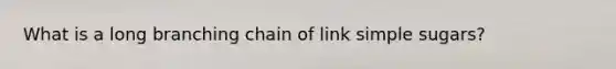 What is a long branching chain of link simple sugars?