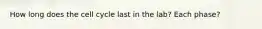 How long does the cell cycle last in the lab? Each phase?