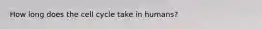 How long does the cell cycle take in humans?