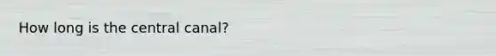 How long is the central canal?
