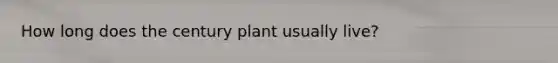 How long does the century plant usually live?