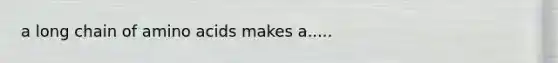 a long chain of amino acids makes a.....