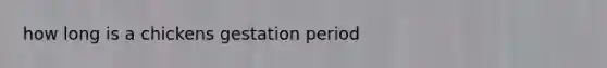 how long is a chickens gestation period