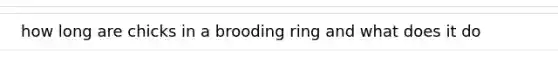 how long are chicks in a brooding ring and what does it do