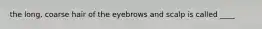 the long, coarse hair of the eyebrows and scalp is called ____