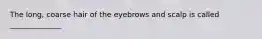 The long, coarse hair of the eyebrows and scalp is called ______________