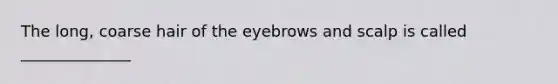 The long, coarse hair of the eyebrows and scalp is called ______________