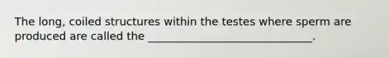 The long, coiled structures within the testes where sperm are produced are called the ______________________________.
