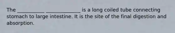 The ___________ ______________ is a long coiled tube connecting stomach to large intestine. It is the site of the final digestion and absorption.