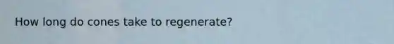 How long do cones take to regenerate?