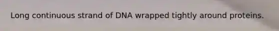 Long continuous strand of DNA wrapped tightly around proteins.