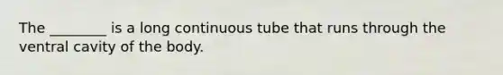 The ________ is a long continuous tube that runs through the ventral cavity of the body.